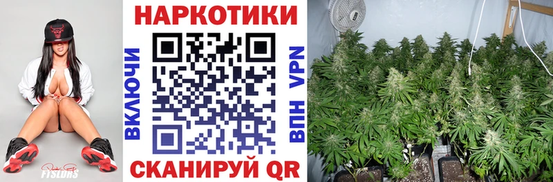 Сколько стоит Сольвычегодск MEGA онион Бошки Шишки Меф мяу мяу ГАШ Cocaine Alpha-PVP