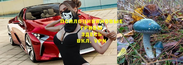 амф Пересвет