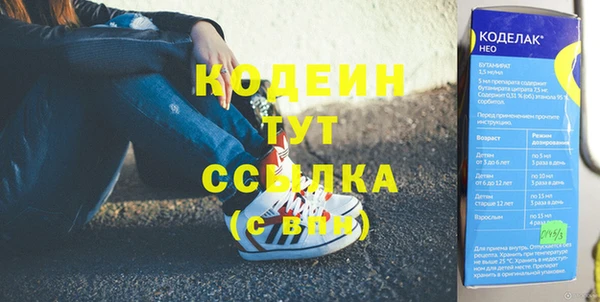 амф Пересвет